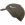Medium Olive Medium Olive